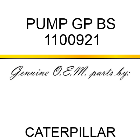 PUMP GP BS 1100921