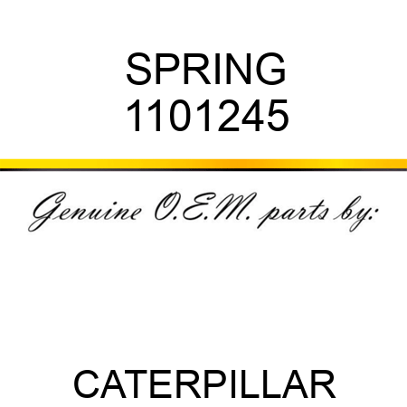 SPRING 1101245