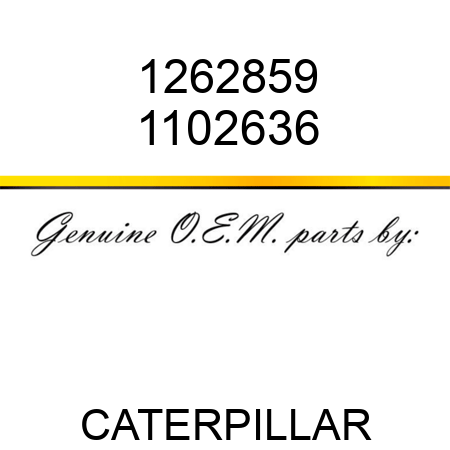 1262859 1102636