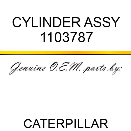 CYLINDER ASSY 1103787