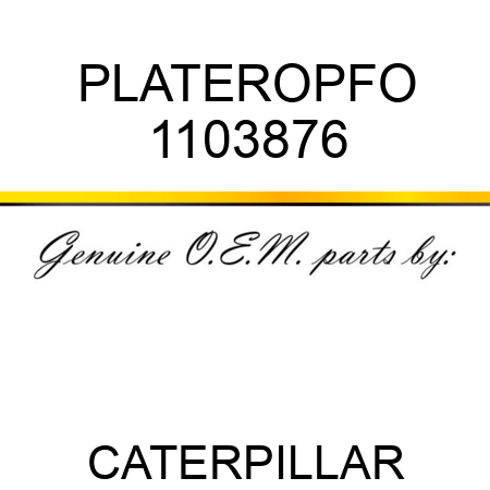 PLATEROPFO 1103876