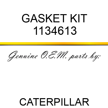 GASKET KIT 1134613