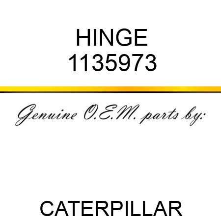 HINGE 1135973