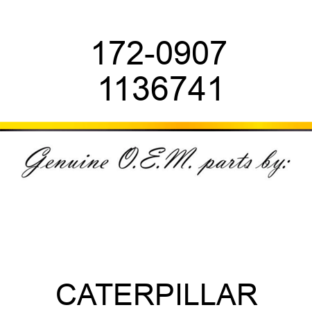 172-0907 1136741