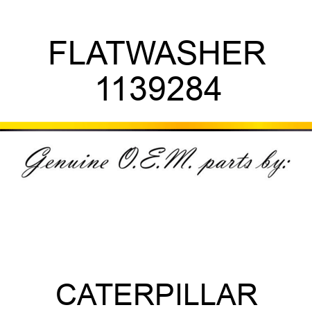 FLATWASHER 1139284