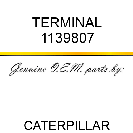 TERMINAL 1139807