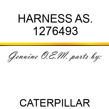 HARNESS AS. 1276493