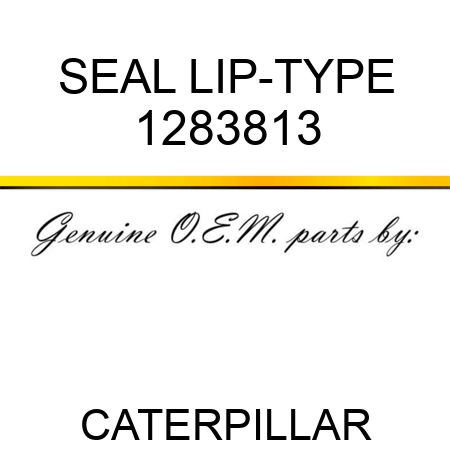 SEAL LIP-TYPE 1283813