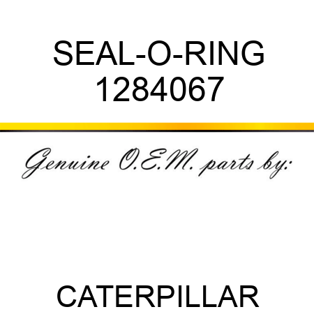 SEAL-O-RING 1284067