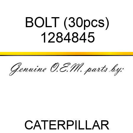 BOLT (30pcs) 1284845