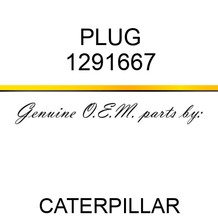 PLUG 1291667