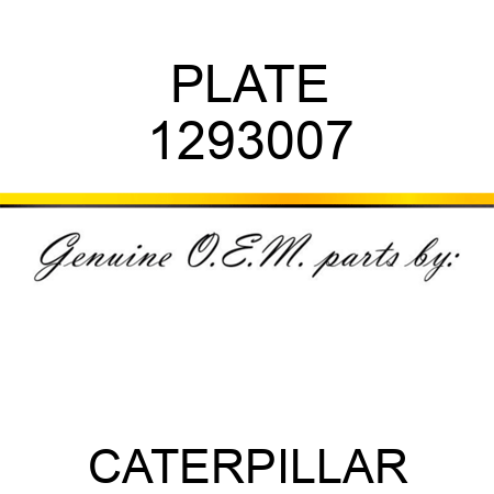 PLATE 1293007