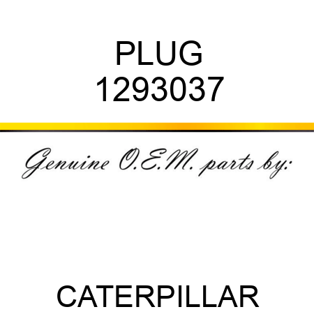 PLUG 1293037