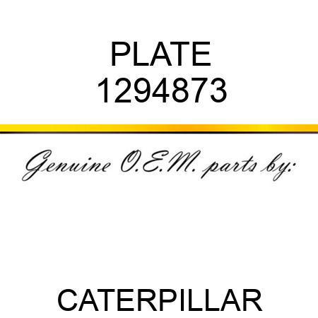 PLATE 1294873
