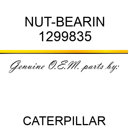 NUT-BEARIN 1299835