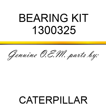 BEARING KIT 1300325