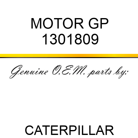 MOTOR GP 1301809