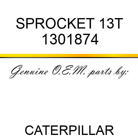 SPROCKET 13T 1301874