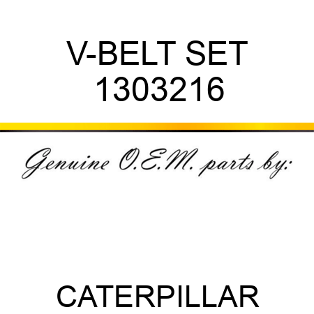 V-BELT SET 1303216