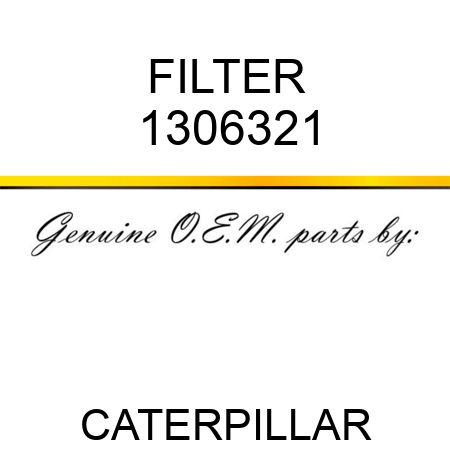 FILTER 1306321