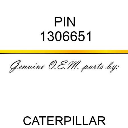 PIN 1306651