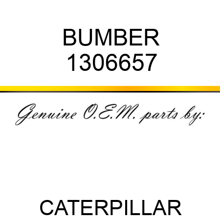 BUMBER 1306657