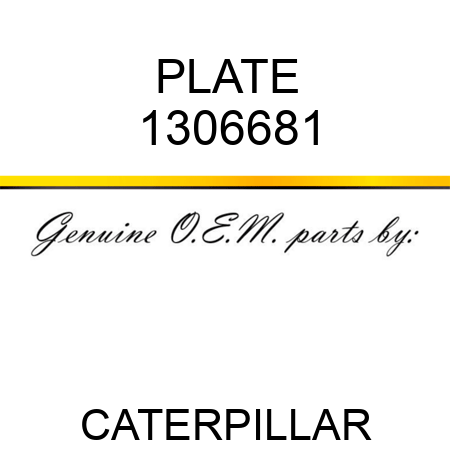 PLATE 1306681
