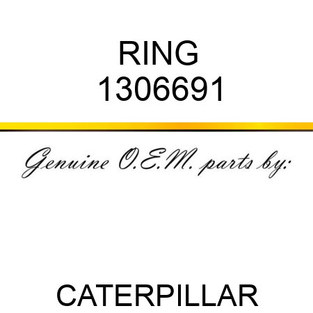 RING 1306691