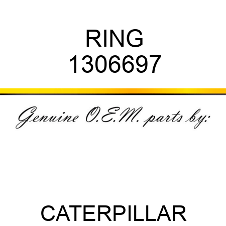 RING 1306697