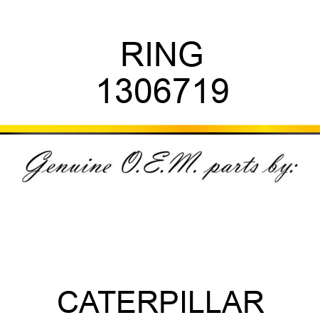 RING 1306719