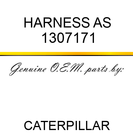 HARNESS AS 1307171