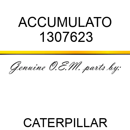ACCUMULATO 1307623