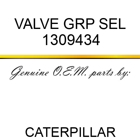 VALVE GRP SEL 1309434