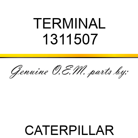 TERMINAL 1311507