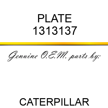 PLATE 1313137