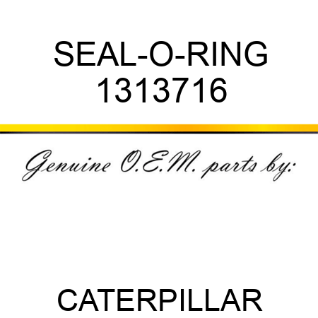 SEAL-O-RING 1313716