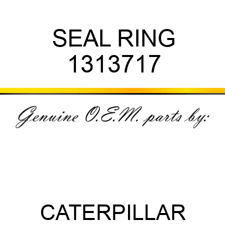 SEAL RING 1313717