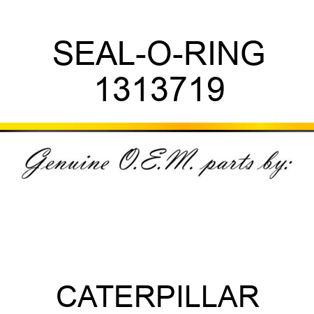 SEAL-O-RING 1313719
