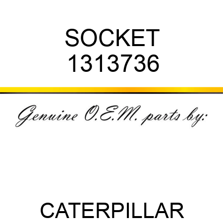 SOCKET 1313736