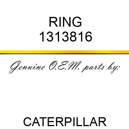 RING 1313816