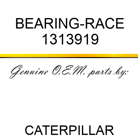BEARING-RACE 1313919