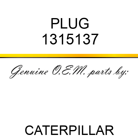 PLUG 1315137