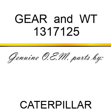 GEAR & WT 1317125
