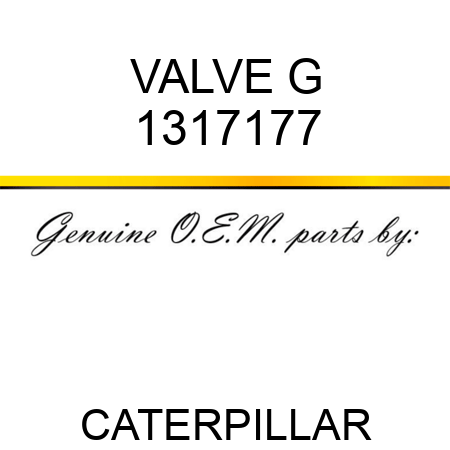 VALVE G 1317177