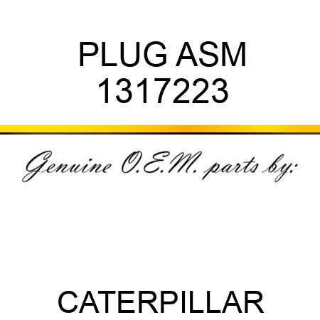 PLUG ASM 1317223