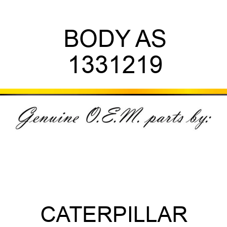 BODY AS 1331219