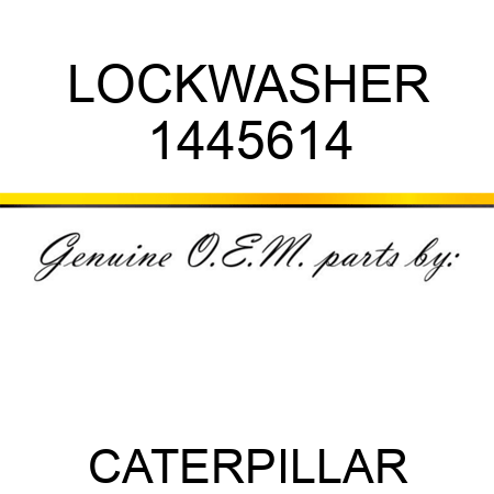 LOCKWASHER 1445614