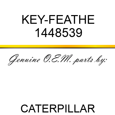 KEY-FEATHE 1448539