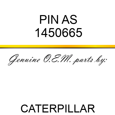 PIN AS 1450665
