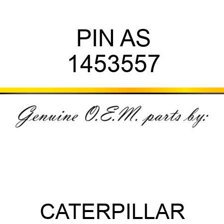 PIN AS 1453557
